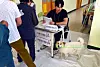 Fetching ballots, not sticks — On June 3, the day of the 21st presidential election, voters line up to cast their ballots at the polling station set up at Yeonsan Elementary School in Nonsan, South Chungcheong. A dog waits patiently in the hallway for its owner to finish voting. [YONHAP]