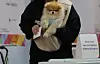 Sniffing out the right candidate — A voter casts a ballot with their dog at a polling station set up at Dongmyeong Girls’ High School in Eunpyeong District, Seoul, on June 3, the day of the 21st presidential election. [YONHAP]