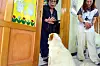 Pawsing for democracy — A voter at a polling station set up at Yeonsan Elementary School in Nonsan, South Chungcheong, tells their dog to wait before heading in to cast their ballot on June 3, the day of the 21st presidential election. [YONHAP]