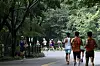 Runners jog along the Namsan trail in central Seoul on Sept. 6. [KIM SEONG-RYONG]