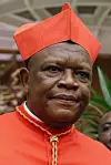 Cardinal Fridolin Ambongo Besungu poses for photographers at the Vatican on Oct. 5, 2019. [AP/YONHAP]