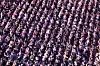 Audience members fill the outdoor theater at the Busan Cinema Center in Haeundae District, Busan, to watch the opening ceremony of the Busan International Film Festival on Sept. 17. [YONHAP]