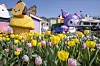 Four Seasons Garden at Everland in Yongin features Sanrio characters [EVERLAND]