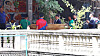 Officials from the National Forensic Service, police and other personnel and Cambodian police officers watch the cremation process after completing an autopsy of the body of a college student who was found dead in Cambodia in August, at the Tuek Thla Pagoda in Phnom Penh, Cambodia on Oct. 20. [NEWS1]