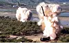 North Korea's 600-millimeter multiple rocket launchers are seen during a drill on May 8. [YONHAP]