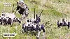 Chinese state broadcaster China Central Television broadcast Chinese People’s Liberation Army conducting a drill using four-legged “wolf robots.” [CCTV]