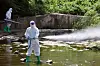 Gwangju city officials spray mosquito repellent smoke in northern Gwangu on Aug. 29, 2024. [GWANGJU BUKGU]