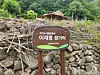 Dochon-ri in Yean-myeon, Andong, North Gyeongsang ? the hometown of Democratic Party presidential candidate Lee Jae-myung [JOONGANG ILBO]