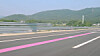 Cadillac’s Lyriq luxury EV finally landed in Korea. [GM KOREA]