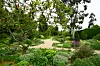 A view of the gravel garden designed by Beth Chatto. [OH KYUNG-AH]