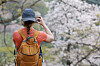 A tourist takes photos of cherry blossoms at N Seoul Tower in central Seoul as temperatures across Korea rose to early summer weather on April 17. [YONHAP]