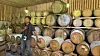 Park at his aging cellar [WOO JI-WON]