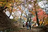 A hiking trail at Mount Namhan [JOONGANG ILBO]
