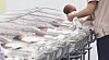 A nurse takes care of a newborn at a hospital in Incheon on Dec. 26, 2024. [NEWS1]