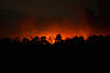 Smoke rises from a wildfire on April 23 near Barnegat Township, New Jersey, United States. [AP/YONHAP]