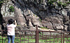 The ″Petroglyphs along the Bangucheon Stream,″ in Daegok-ri, Eonyang-eup, Ulju County, Ulsan [SONG BONG-GEUN]