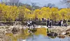 The Gurye Sansuyu Festival is an annual spring event that attracts around a million visitors every March. [GURYE SANSUYU FESTIVAL COMMITTEE]