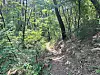 A passage on Mount Hamji in Daegu [JOONGANG ILBO]