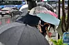 People wait at a crosswalk with umbrellas at Gwanghwamun Intersection in central Seoul on June 20, as a heavy rain advisory is in effect across the city. [YONHAP]