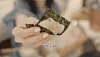 Singer Kang Min-kyung showcases homemade gwang-eo sogeum gimbap, or flatfish-salt gimbap, in a video uploaded to her YouTube channel. [SCREEN CAPTURE]