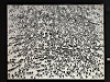 ″Crowd″ (1986) by Lee Ung-no [SHIN MIN-HEE]