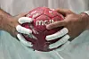 Ahmed Adel of Egypt holds the ball during a men's handball match against France in Paris on Wednesday. [AP/YONHAP]