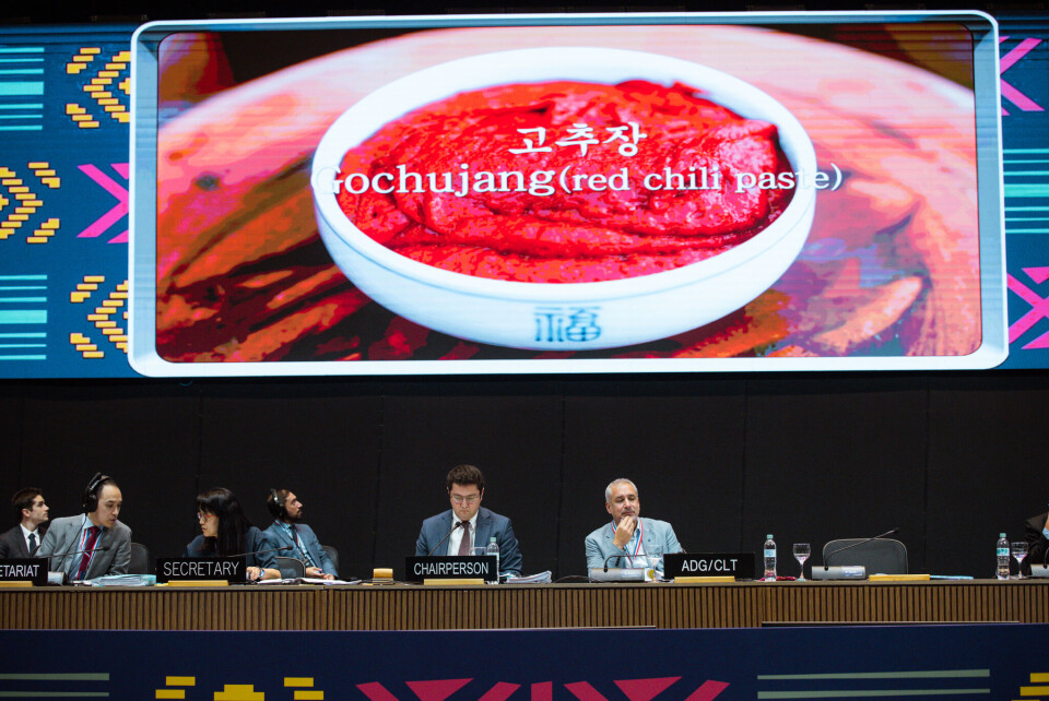 UNESCO inter-governmental committee session in Asunción