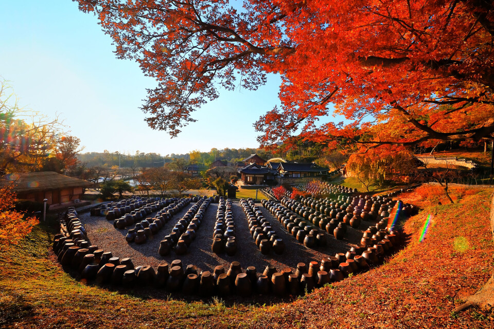 Hangari lined up at Myeongjae Historic House