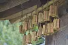 Blocks of soybean hang from the roof to dry