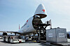 An Asiana Airlines cargo plane [ASIANA AIRLINES]