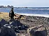 An officer from the Jeju Provincial Police Agency's forensic science unit, accompanied by scent-detection dog Fernando, conducts a search for suspected narcotics along the northern coastal area of Iho-dong in Jeju on the afternoon of Nov. 11. [CHOI CHOONG-IL]