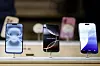 A view of Apple iPhones displayed at an Apple Store at Grand Central Terminal in New York City, New York, Oct. 16, 2024. [REUTERS/YONHAP]