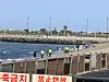 Workers carry out a joint search for suspected narcotics along the northern coastline of Jeju including Iho-dong, on the afternoon of Nov. 11. [CHOI CHOONG-IL]
