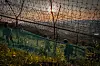 South Korean soldiers patrol along a barbed-wire fence inside the demilitarized zone in Yeoncheon County, Gyeonggi, near the midwestern front, on July 25, 2022. [YONHAP]