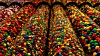 M&M's chocolate candies are displayed at the M&M's World store in Manhattan in New York City on April 19, 2018. [REUTERS/YONHAP]