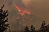 Flames rise in Uiseong, North Gyeongsang, on March 24 as strong winds fuel a wildfire burning for a fourth consecutive day. [YONHAP]