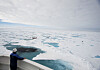Researchers monitor the activities of polar bears in the Arctic. For safety, one person oversees field researchers from the vessel. [KOREA POLAR RESEARCH INSTITUTE]