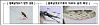 Pictured is the Anopheles mosquito, a known carrier of malaria [KOREA DISEASE CONTROL AND PREVENTION AGENCY]