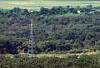 A transmission tower with no power lines stands abandoned among the overgrowth along the Gyeongui Line road in the demilitarized zone on the western front, as seen from Dora Observatory in Paju, Gyeonggi, on Sept. 3. [YONHAP]