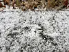 Hailstones piled up on the ground in Cheorwon County, Gangwon, on Tuesday [CHEORWON COUNTY GOVERNMENT]