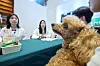 Visitors receive health consultations for their dogs at the Konkuk University Animal Hospital booth during the 2025 K-Pet Fair Seoul at Coex in southern Seoul on Aug. 13. [NEWS1]