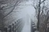 A tourist walks through a trail in Mount Halla on Jeju Island on Tuesday morning. [YONHAP]