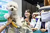 Visitors receive health consultations for their dogs at the Konkuk University Animal Hospital booth during the 2025 K-Pet Fair Seoul at Coex in southern Seoul on Aug. 13. [NEWS1]
