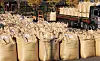 Public reserve rice is being purchased at the Agricultural Ecology Center in Pyeongtaek, Gyeonggi, on the morning of November 7, 2024. [YONHAP]