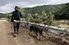 A police official and a police dog search for missing people in Mail-ri in Gapyeong County, Gyeonggi, on July 21. [JUN MIN-KYU]
