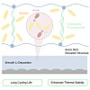 A diagram from a paper on a new electrolyte developed by Samsung SDI and a joint research team from Columbia University [SCREEN CAPTURE]