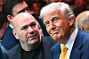 CEO and President of the Ultimate Fighting Championship (UFC) Dana White and U.S. President Donald Trump attend UFC 314 at the Kaseya Center in Miami, Florida, on April 12. The White House is to play host to a mixed martial arts bout on July 4 next year, the day the United States marks the 250th anniversary of its founding, UFC boss Dana White said on Aug. 12. [AFP/YONHAP]