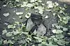 A fragment of a rocket is seen following a Russian strike on Sumy, Ukraine, on June 3. [AP/YONHAP]