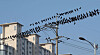 Flocks of winter migratory crows perch on power lines in the Anyeong-dong area of Hwaseong, Gyeonggi, on the morning of Jan. 12, 2024, during an unseasonably warm winter day. [NEWS1]