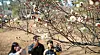 Three people observe blossoming plum in Busan on Feb. 24. [NEWS1]